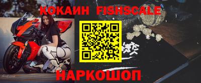индика Ставрополь