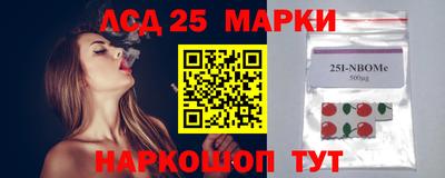 индика Ставрополь