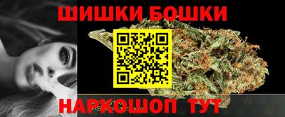 индика Ставрополь