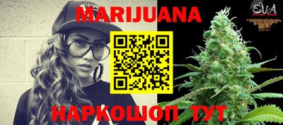 индика Ставрополь