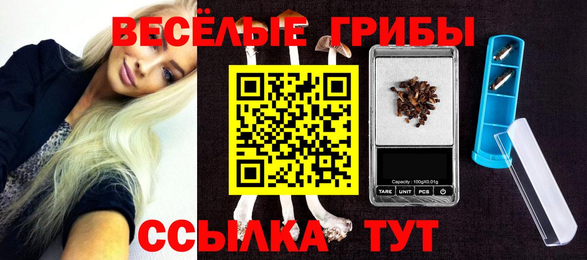 Галлюциногенные грибы Magic Shrooms  Вход с VPN  Ноябрьск  Галлюциногенные грибы Psilocybe 